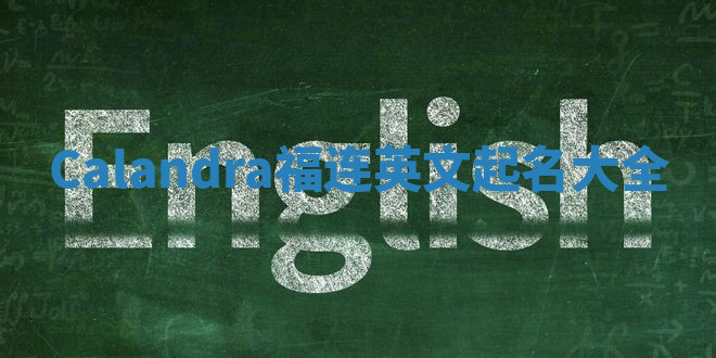 Calandra福连英文起名大全