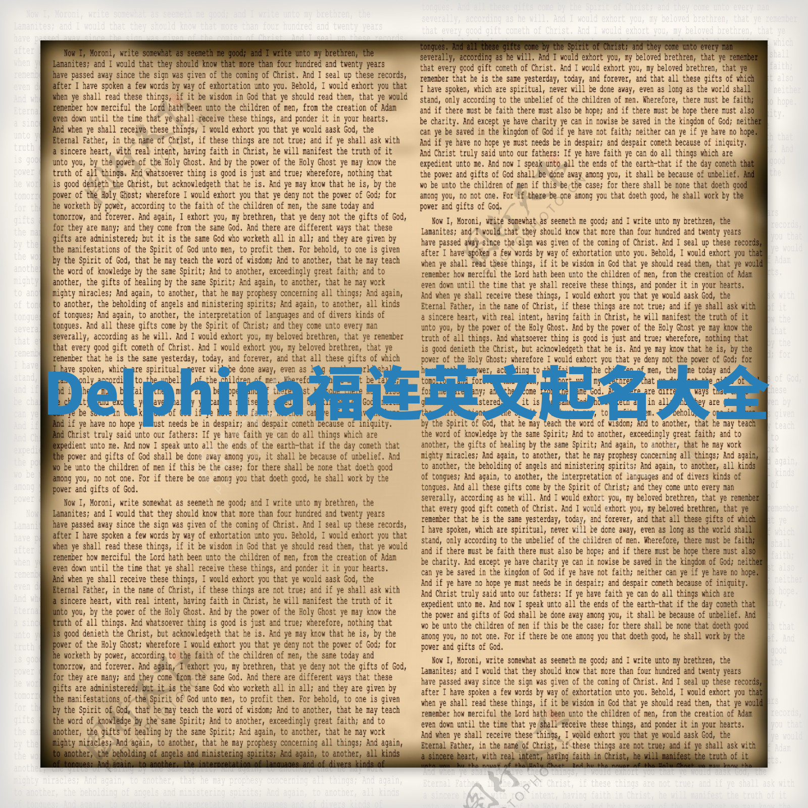 Delphina福连英文起名大全