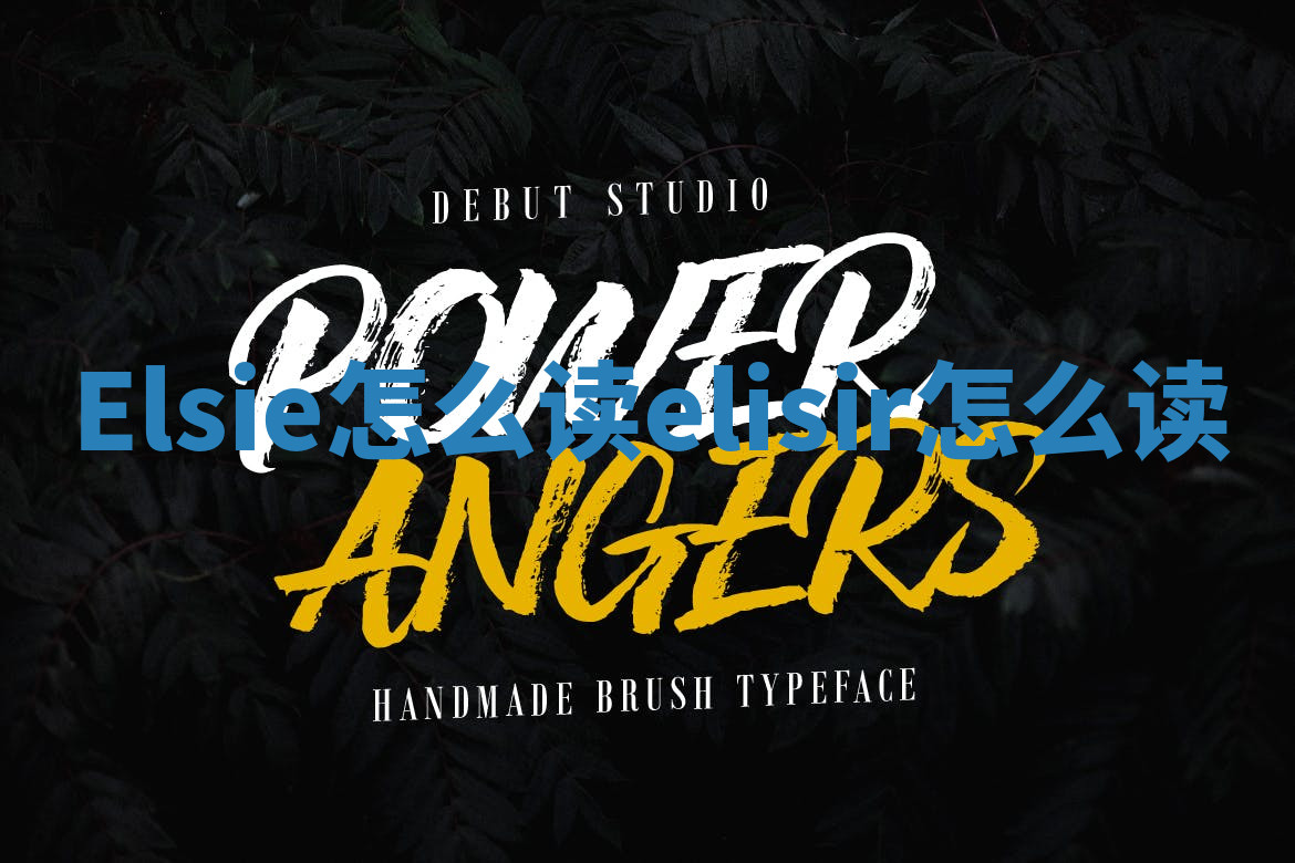 Elsie怎么读_elisir怎么读