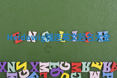 Heidewig福连英文起名大全