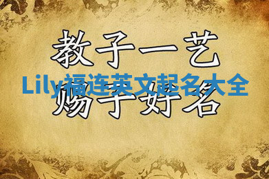 Lily福连英文起名大全