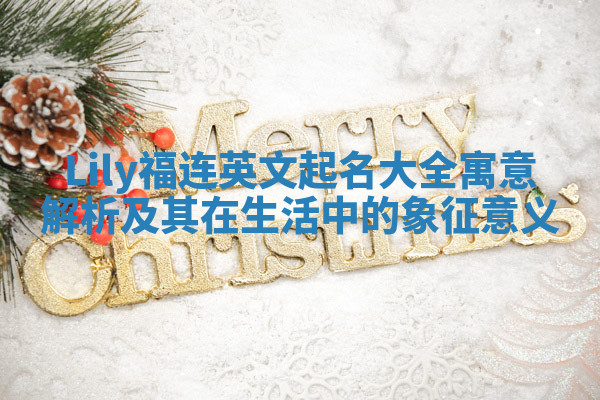 Lily福连英文起名大全寓意解析及其在生活中的象征意义