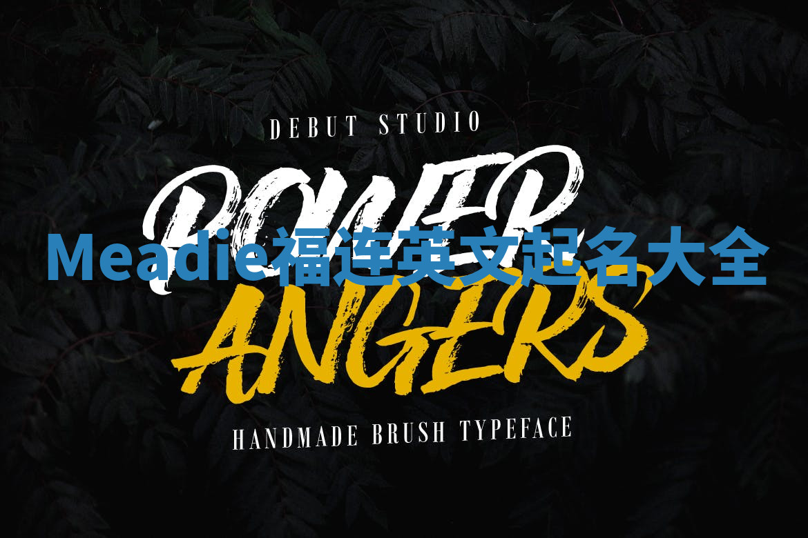 Meadie福连英文起名大全