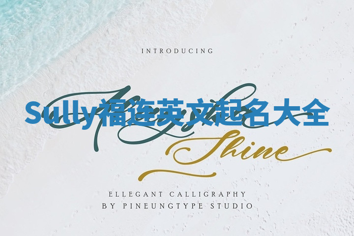 Sully福连英文起名大全